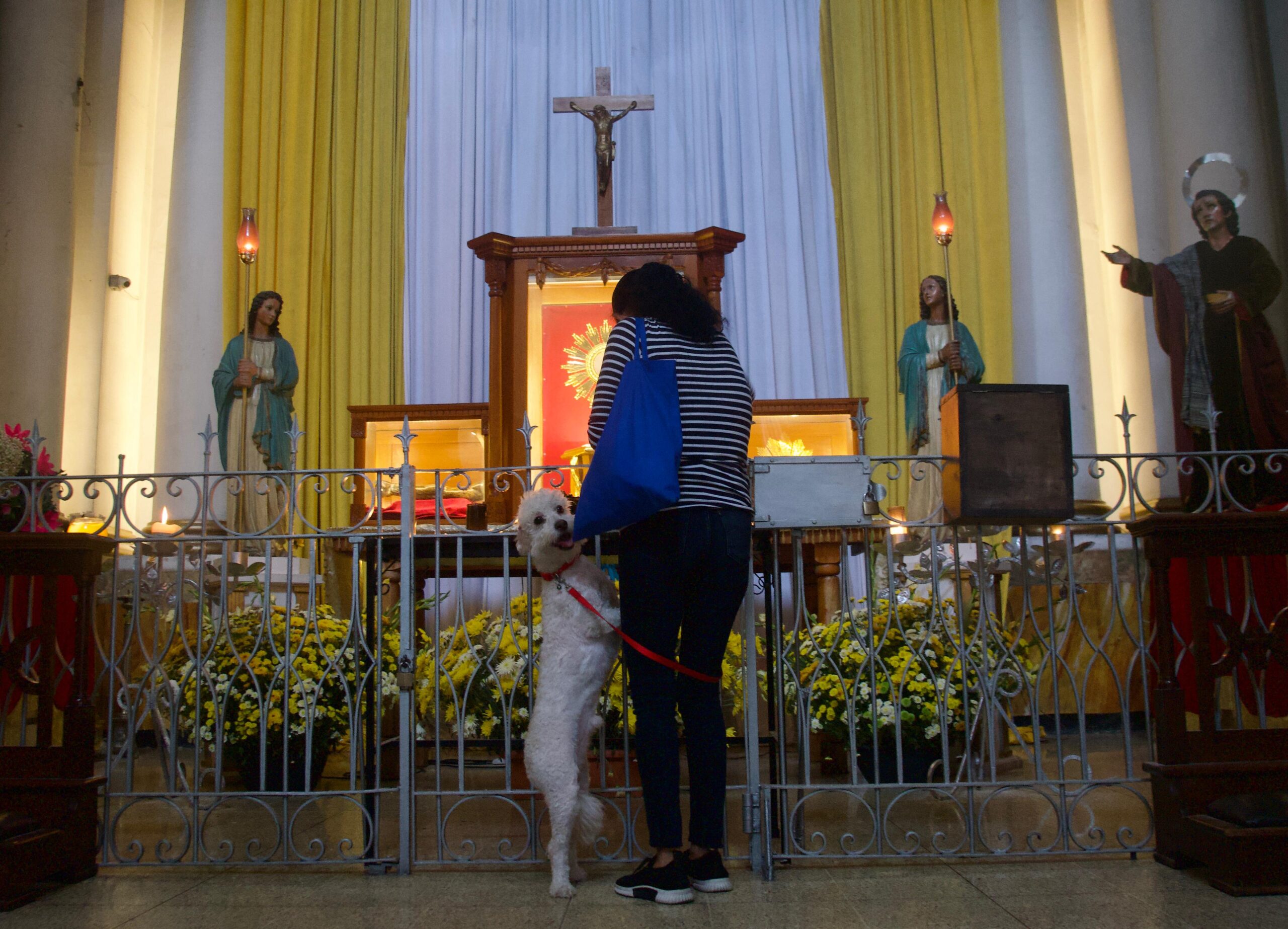 Bendicen a mascotas en el Día de San Francisco de Asís