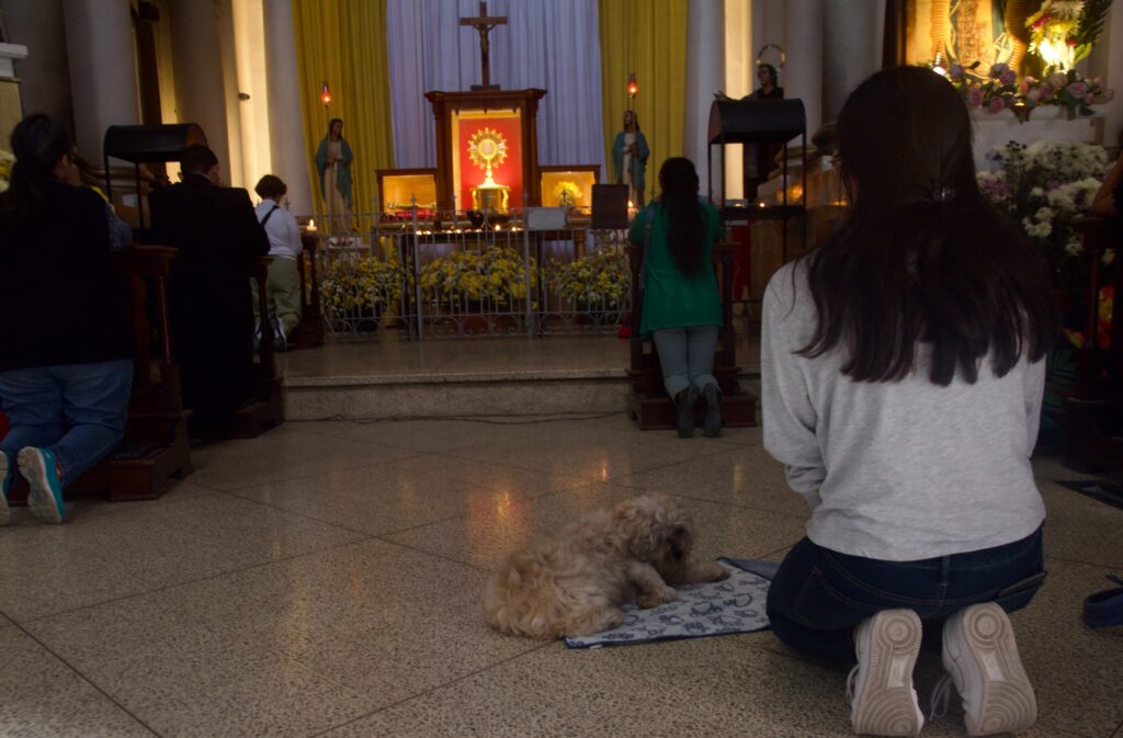 Bendicen a mascotas en el Día de San Francisco de Asís