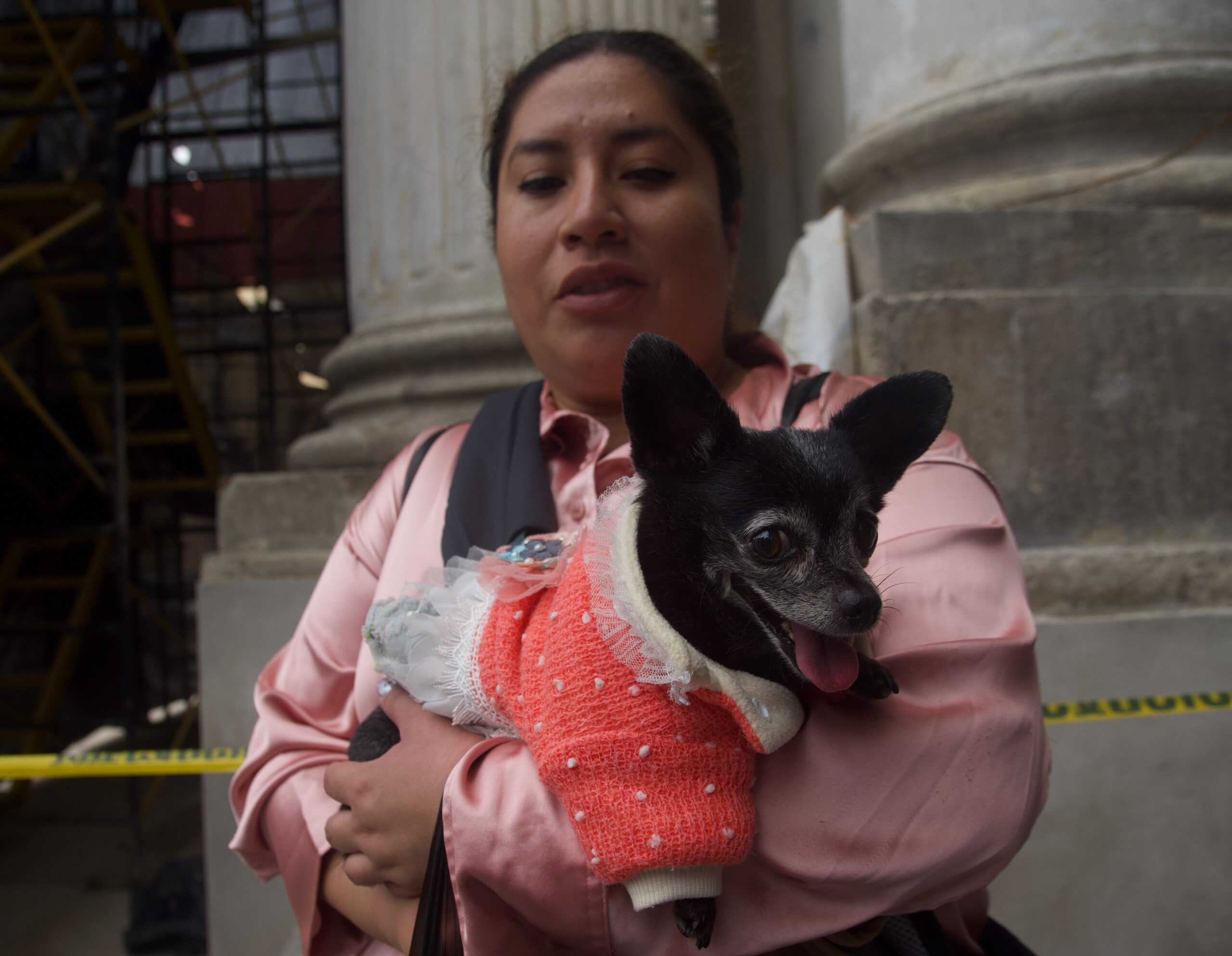 Bendicen a mascotas en el Día de San Francisco de Asís