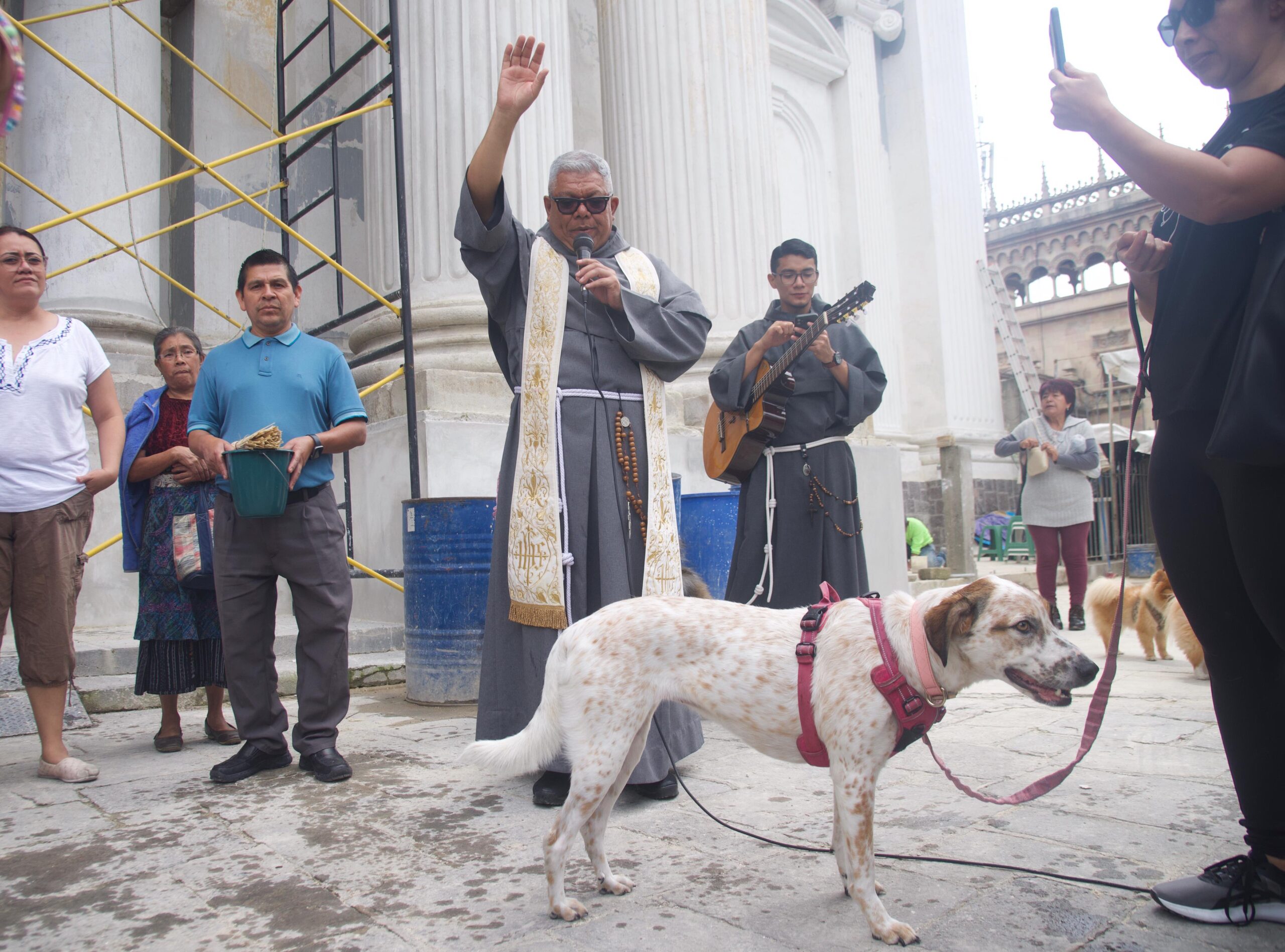 Bendicen a mascotas en el Día de San Francisco de Asís