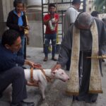 Bendicen a mascotas en el Día de San Francisco de Asís