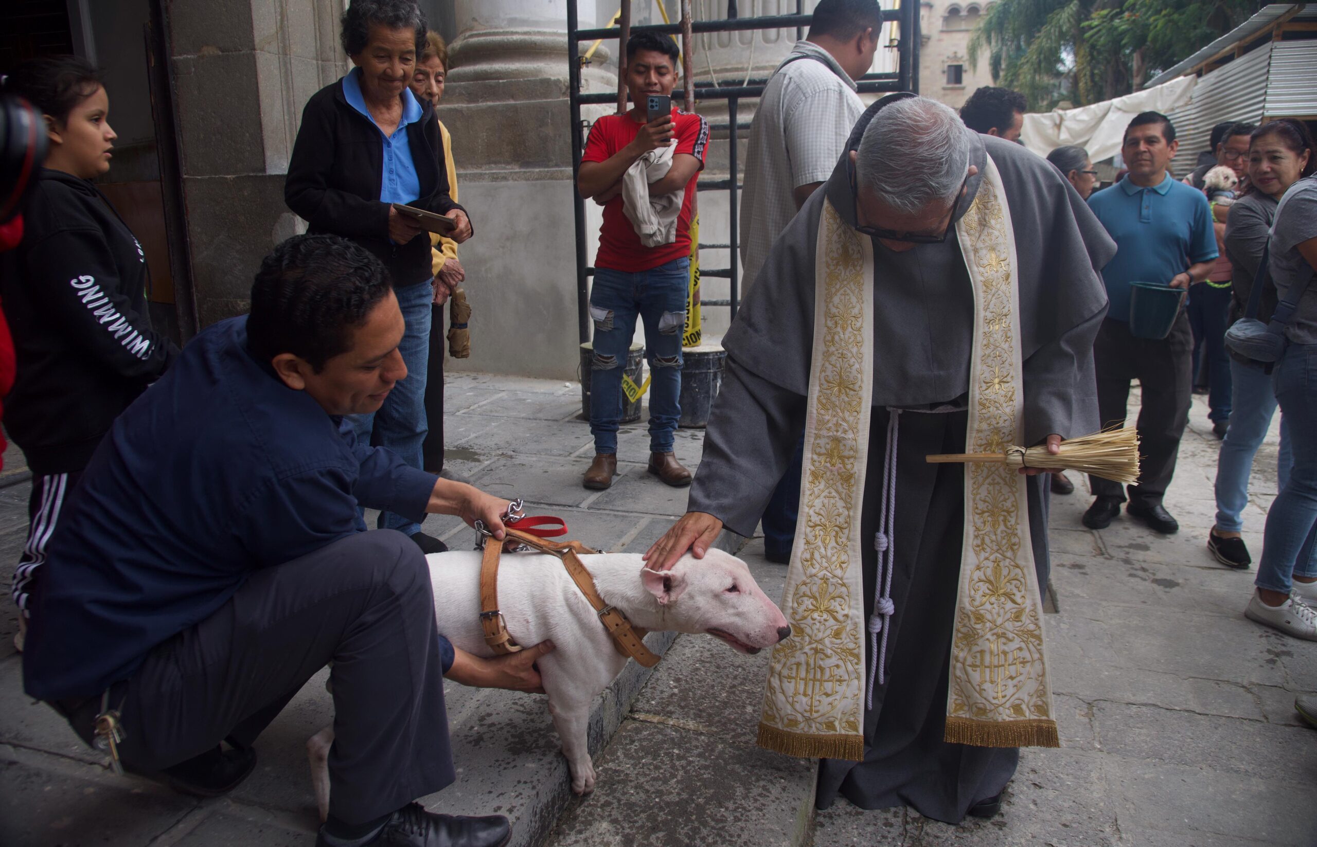 Bendicen a mascotas en el Día de San Francisco de Asís