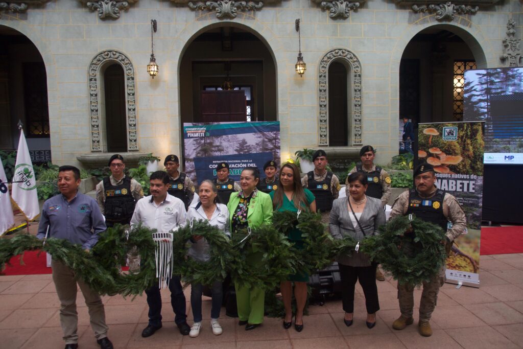 campaña nacional de control y conservación del Pinabete