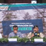 campaña nacional de control y conservación del Pinabete