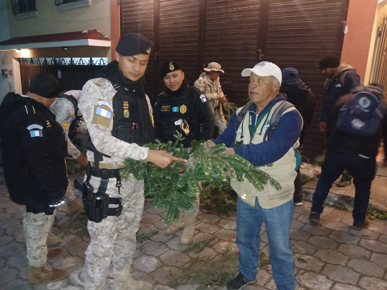 Decomisan ramillas de pinabete en Quetzaltenango